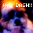 Pixelated dog face with orange glow above, white text reading "Hey DASH!! your the... best coolest sweetest horn dog I have ever seen" across four