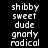 text labels with green highlight bars moving , displaying 'shibby', 'sweet', 'dude', 'gnarly', and 'radical' in white pixelated font on black background