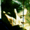 Animated sequence showing a figure with outstretched hands against a green background, transitioning from a neutral pose to a raised hand gesture.