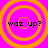 Four identical orange concentric circles on a bright pink background with black text reading 'waz up?' in each circle.