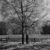 Grayscale pixelated image of a tall vertical structure with branching elements against a textured background.