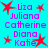 A static image displays a of names in purple text against a cyan background, with red star icons scattered throughout