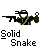 Pixelated character in dark green and black attire holding a pistol, with 'Solid Snake' text below.