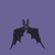 Six of a bat-shaped animation on a solid purple background, showing wing positions from spread to folded