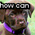 six animal images with overlaid text questioning how someone can hurt animals and sleep at night, featuring dogs and cats