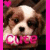 A pixelated dog with brown and white fur appears in two side-by-side frames, each displaying the word "CUTE" in a different color.