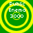Four identical circular icons with yellow concentric rings on a green background, each displaying white text reading "Public Enema 3000".