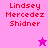 Pixelated text 'Lindsey Mercedez Shidner' in red on pink backgrounds with a small star icon in two positions.