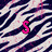 Zebra-stripe patterned background with pink and red text overlays showing 'S', 'SM', 'SME', 'SMEX', 'SMEXY' in sequence.