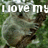 A pixelated koala bear image with partial text overlays showing 'I love my' and 'koala bear', set against a green foliage background.