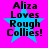 A bright pink background with a blue star and black text reading "Aliza Loves Rough Collies!" in four identical