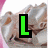 Four distinct letter icons arranged in a , each with a bold, colored character on a textured background
