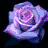 Six roses in a : purple, blue with text, green, yellow, orange with text, and rainbow-colored