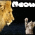 Animated sequence showing a lion's head and raised paw with changing text above and below the figure.