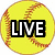 A static digital image displays sports-themed icons with text overlays on a white background, featuring a softball, basketball hoop, and lacrosse sticks.