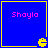 Four blue squares with yellow borders display pink text "Shayla" and yellow Pac-Man icons at bottom-right corners.