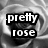 Black-and-white rose image with text overlays in four quadrants, one quadrant showing a swirling motion effect.