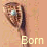 Animated icon shows four lacrosse sticks with text changing from 'Born To Play' to 'Play Lacrosse' on a peach background.