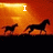 Pixelated animation of two horses running against an orange gradient background with text reading "I Love Horses" in white block letters.