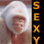 A pixelated buddy icon featuring a person with white hair wrapped in a towel and orange text reading "SEXY" vertically on the left side, next to "KiNda..." horizontally on a black background.