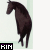A black horse icon with a light green background, displaying subtle animation changes in its posture