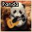 Pixelated panda holding orange guitar with text 'Panda' above, background of brown and orange tones.