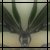 Static pixelated image of a stylized winged figure with dark green and gray tones against a light gradient background.