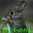 A pixelated rabbit with brown fur and white underbelly appears in three with green text reading 'my bunny is cuter than ur bunny' across the bottom