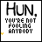 25 identical showing text 'HUN, YOU'RE NOT FOOLING ANYBODY' with small yellow sparkles below the text
