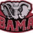 Pixelated icon with red, gray, and white sections; central elephant graphic above 'BAMA' text; two separate text phrases on red backgrounds.