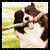 Animated sequence showing a dog with brown and white fur in two distinct poses against green grass background.