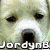 A four- of dog images with overlaid text: top-left white dog, top-right brown dog, bottom-left puppy, bottom-right empty space