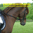 A brown horse with a black bridle stands in a grassy field, its head lowered; yellow exclamation marks appear above the left side of the image.