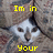 A pixelated cat face with white and brown fur appears behind a patterned couch, overlaid with yellow text reading "Im in Couch Your Steelin Your change".