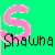 Green and cyan split background with large pink 'S' and black 'S', below which is pixelated text reading 'Shawna' in black on green and pink on cyan.