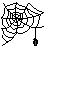 A spider web icon with a red and black spider hanging from its center, displayed on white backgrounds in