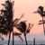 Pixelated scene of palm trees against a gradient sky transitioning from peach to light blue, with dark silhouettes and blurred background elements.