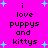 Pixelated text on bright pink background with cyan starbursts, displaying 'i love puppies and kittys' in two vertical