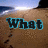 Beach scene with footprints and ocean waves, displaying sequential text: 'What', 'Went', 'Wrong?' in dark blue letters with light blue outlines.