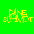 Four display yellow text 'DANE SCHMIDT' on green and black backgrounds with pixelated distortion