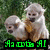 Two monkeys sit on a branch against green foliage; one monkey holds the other while green text appears below them.