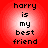 Red background with four identical pixelated text reading 'harry is my best friend' in black font