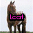 Four horse images arranged in a with text overlays: 'Leaf' in pink, 'Loves' in cyan, 'Horses!' in green, and a blank