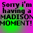 Pixelated text on a pink and green gradient background with repeated 'Sorry i'm having a MADISON MOMENT!MOMENT!' phrases.