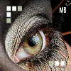 A close-up of a human eye with brown iris and visible eyelashes, surrounded by textured skin patterns in shades of beige and brown.