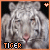 A 2x2 contact sheet of four animated frames showing a pixelated tiger's face with subtle expression changes, each frame bordered by an orange or white outline and labeled "TIGER" in blocky text at the bottom left.