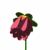 Animated flower icon showing a pink daisy-like bloom opening from bud to full bloom with yellow center and green stem.