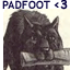 Static 64x64 pixel buddy icon featuring a dark-furred animal head with prominent ears and teeth, overlaid by blue text reading "PADFOOT <3" on a light background.