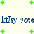 Animated icon with repeating text 'liley rose' in blue serif font, scattered green plus signs on light cream background.