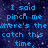Blue pixelated text on a dark blue starry background with partial gray area, displaying phrases about pinching and catching things.